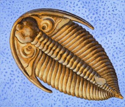 Fossil af R.B. Davis