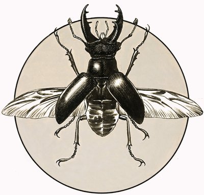 Hjortebillen af R.B. Davis
