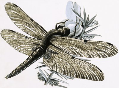 Guldsmeden af R.B. Davis