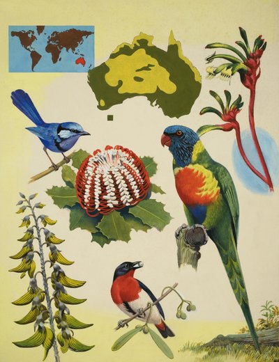 Australiens vilde dyreliv af R.B. Davis