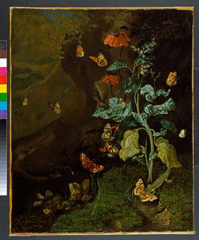 Et stilleben med blomster, sommerfugle og et firben i en kælder, før 1750 af Rachel Ruysch