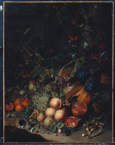 Fersken, druer, granatæbler, meloner, en majskolbe, abrikoser, blommer, pærer, agern, 1718 af Rachel Ruysch