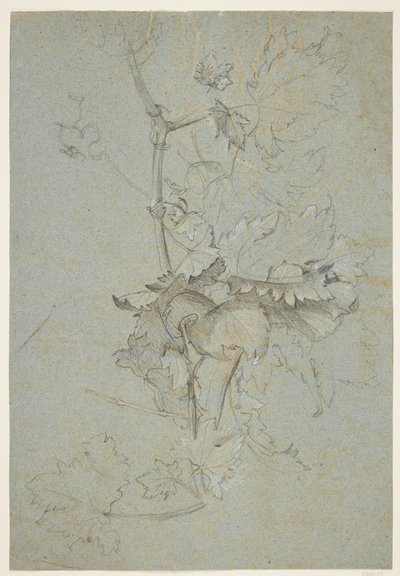 Plante undersøgelse af Rachel Ruysch