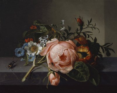 Stilleben med rosengren, bille og bi, 1741 (olie på lærred monteret på eg) af Rachel Ruysch