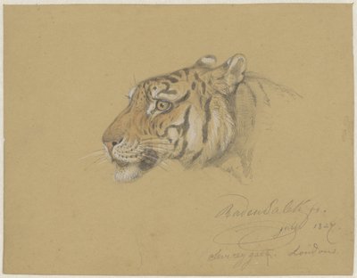 Hovedet af en tiger af Raden Sarief Bastaman Saleh