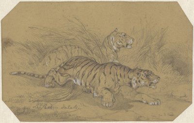 To tigre, der sniger sig gennem græsset af Raden Sarief Bastaman Saleh