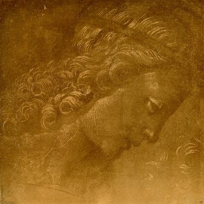 Studer på et englehoved af Raffaellino del Garbo