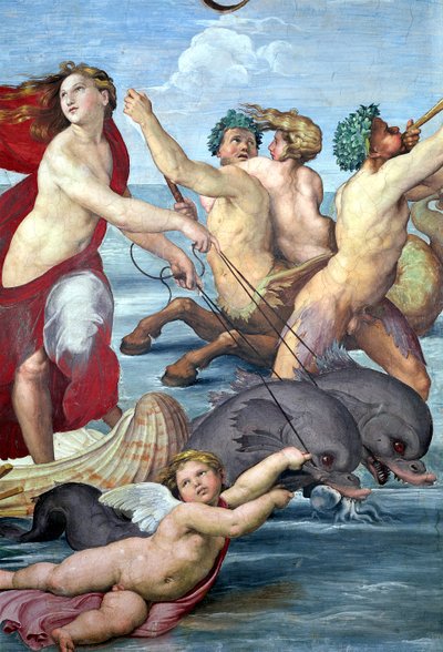 Galatea, detalje af havmænd og delfiner, 1506 freskodetalje af 56473 af Raffaello Sanzio Raphael
