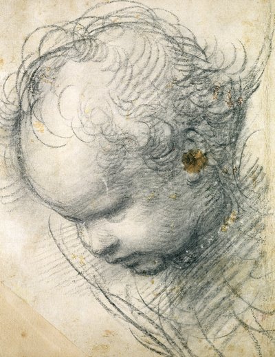 Hovedet af en Cherub (sort kridt og trækul på papir) af Raffaello Sanzio Raphael