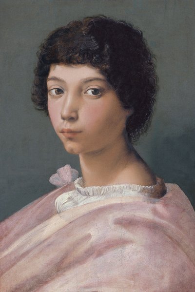 Portræt af en ung mand af Raffaello Sanzio Raphael