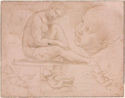 Studier af en siddende kvinde, barnets hoved og tre studier af en baby, ca. 1507-8. af Raffaello Sanzio Raphael