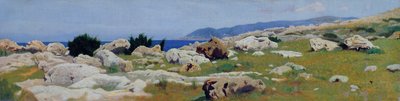 Castiglioncello fra Punta del Bocca, ca. 1864 (olie på lærred) af Raffaello Sernesi