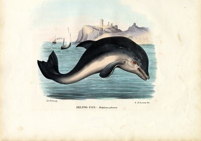 Marsvin, 1863-79 af Raimundo Petraroja