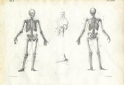 Human Being, 1863-79 af Raimundo Petraroja
