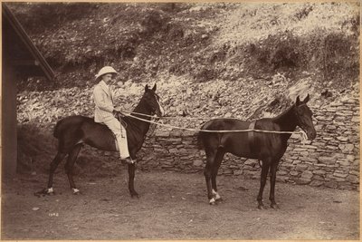 Kaptajn H. S. Rawhinson (forside) af Raja Deen Dayal
