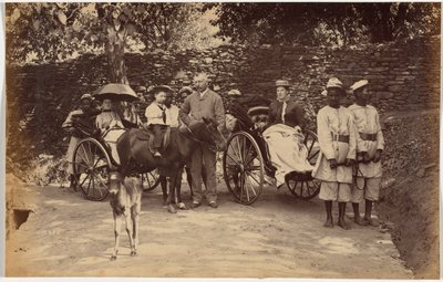 Oberst F. G. Oldham, Shimla af Raja Deen Dayal
