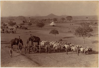 Tungt feltbatteri, Jhansi af Raja Deen Dayal