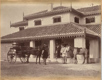 Hr. MacNull, Jhansi (verso) af Raja Deen Dayal