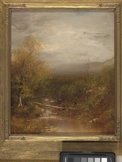 Pool In The Adirondacks (olie på lærred) af Ralph Albert Blakelock