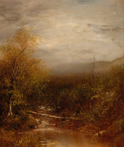 Pool i Adirondacks af Ralph Albert Blakelock