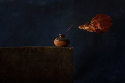  af Ramiz Sahin