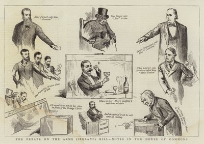Debatten om lovforslaget om våben (Irland), noter i Underhuset af Randolph Caldecott