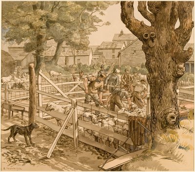 Dypning af får, Cornwall af Randolph Schwabe