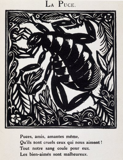 La puce - i "Le Bestiaire ou cortege d