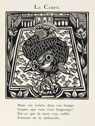 Karpen, illustration fra 