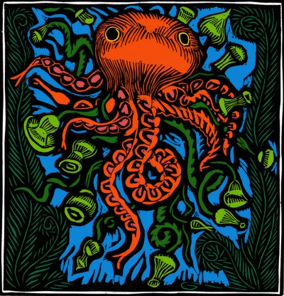 Zoologi / Havliv / Blæksprutte af Raoul Dufy
