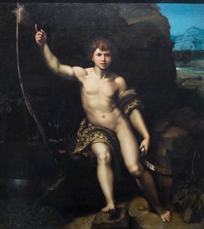 Johannes Døberen af Raphael (1483-1520) (& studio)