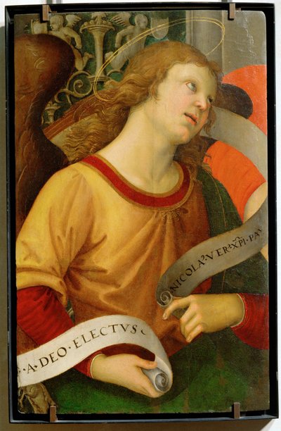 Angel ... af Raphael (1483-1520)