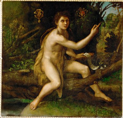 Johannes Døberen i ørkenen, hvor han viser træet, som ... af Raphael (1483 1520)