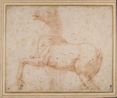 Studie af en hest (pen & blæk og blyant på papir) af Raphael