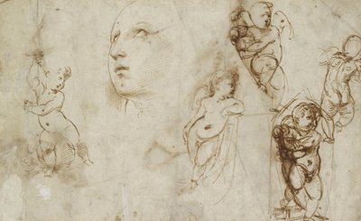 Forskellige studier, primært for Borghese-Beckford St Catherine (pen og brunt blæk på råhvidt papir) af Raphael