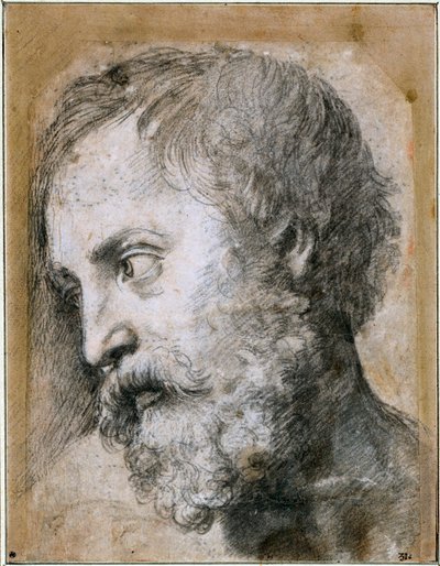 Leder af An Apostle Study for Transfiguration, 1519-1520 af Raffaello Sanzio Raphael