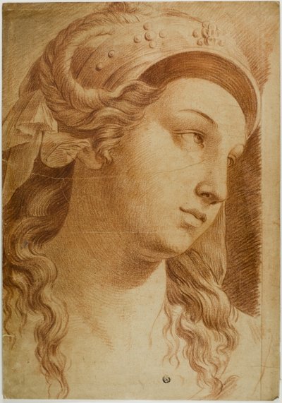 Leder af Comity af Raphael