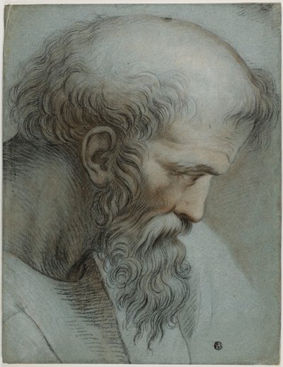 Leder af Pythagoras af Raphael
