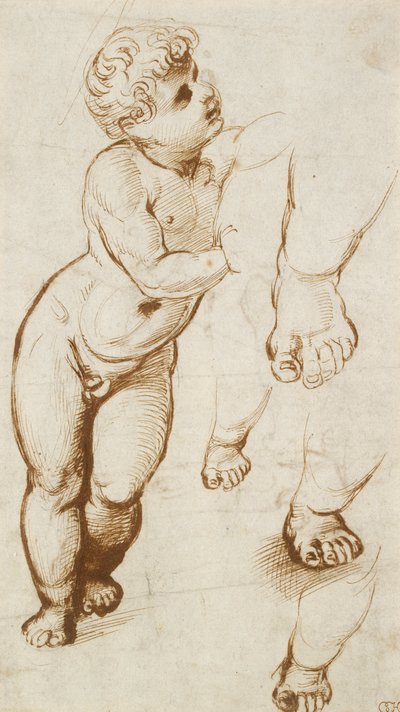 Recto: The Infant Christ and Other Studies, 1500-1520 af Raphael