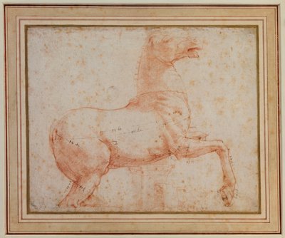 Studie af en af Quirinal-marmorhestene, ca. 1515-17 af Raphael