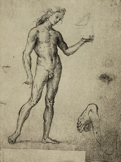 Mandlig nøgenstudie; tegning af Raphael. Gallerie dellAccademia, Venedig af Raffaello Sanzio Raphael