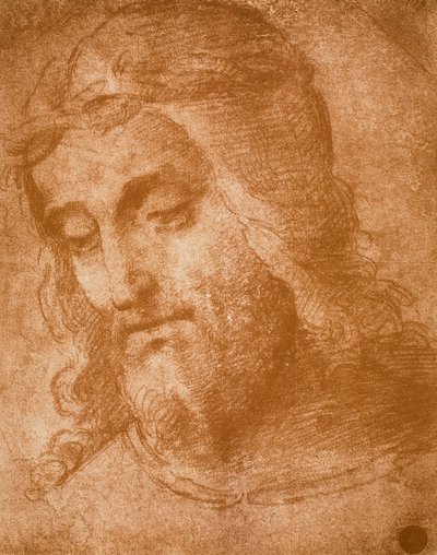 Studie til Forløserens ansigt, tegning af Raphael. Gallerie dellAccademia, Venedig af Raffaello Sanzio Raphael