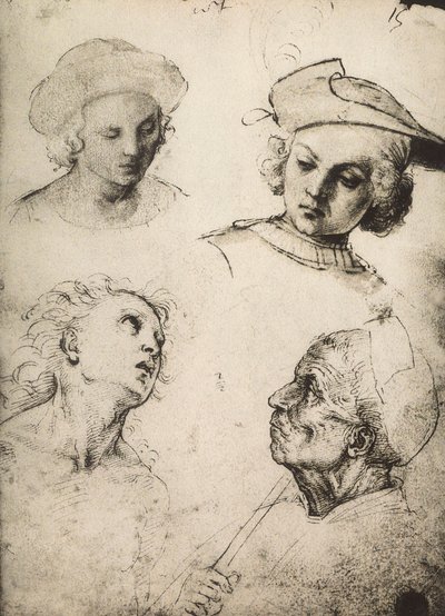 Undersøgelse af fire mandlige ansigter; tegning af Raphael. Gallerie dellAccademia, Venedig af Raffaello Sanzio Raphael