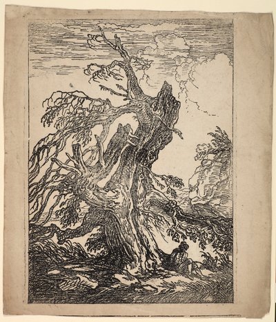 Studie af et træ af Raphael Lamar West