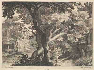 Skovklædt landskab. af Raphael Sadeler