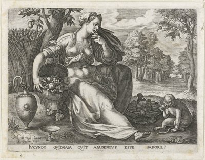 Smag De fem sanser (serietitel) af Raphaël Sadeler (I)