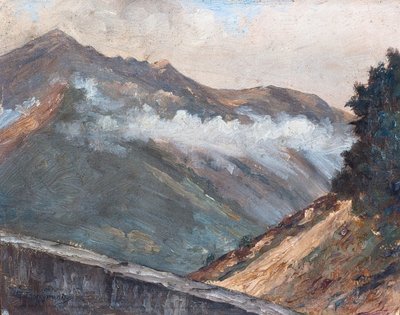Pyrenæisk landskab ved Cauterets (olie på træ) af Raymond Bonnefon