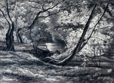 Underskov med flod (trækul) af Raymond Bonnefon