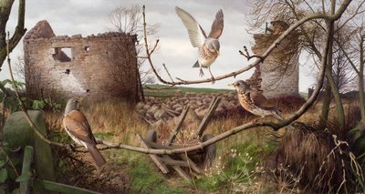 Markvandringer ved Eccup, West Yorkshire af Raymond Booth