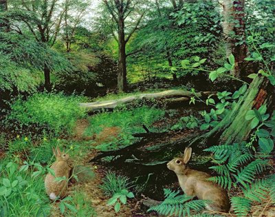 In the Woods - A Midsummer Evening (olie på plade) af Raymond Booth